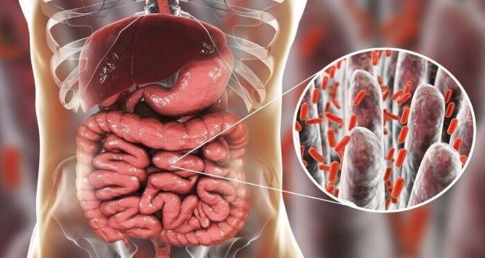 عقاقير المضادات الحيوية ومضادات الاكتئاب تؤدي الى تدهور صحة الأمعاء