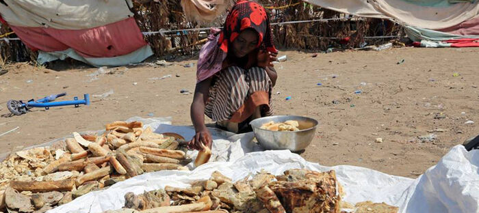 الأمم المتحدة تحذر  من زيادة  انعدام الأمن الغذائي في اليمن