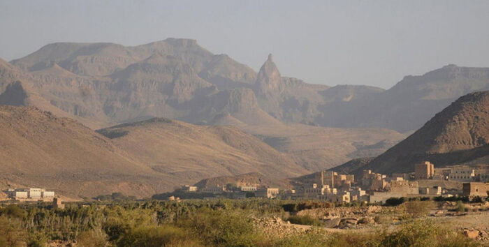 مليشيا الحوثي تنهب الأنسولين من مستشفيات الجوف