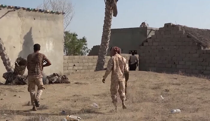 الحديدة.. إكتشاف ثاني حقل ألغام فردية حوثية جنوب حيس خلال شهر (فيديو)