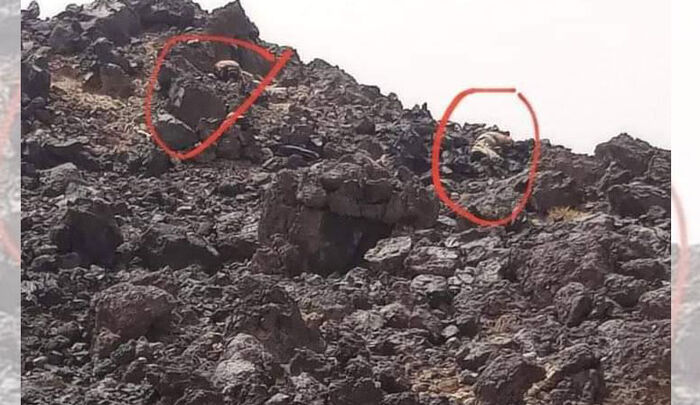 مصرع قيادات حوثية مقربة من عبدالملك الحوثي في جبهات مأرب  (اسماء)
