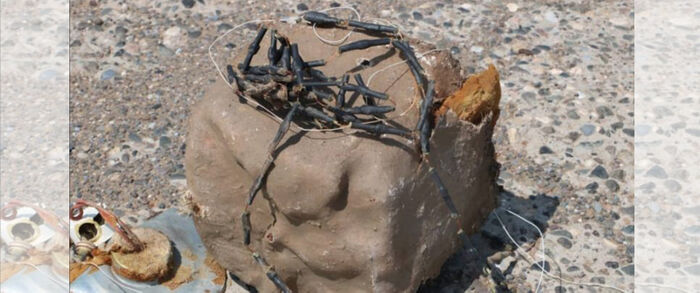 إبطال عبوة ناسفة زرعتها المليشيا الإرهابية في الحديدة