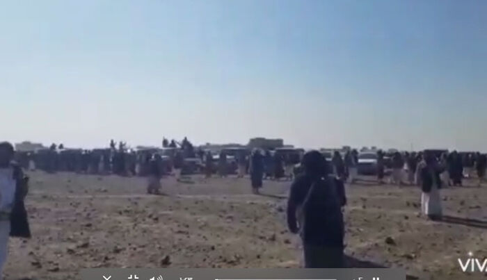 قبائل بني الحارث ترفض تحكيم الحوثيين في جريمة اغتيال الراعي وتعطي مهلة للوساطة لتسليم القتلة